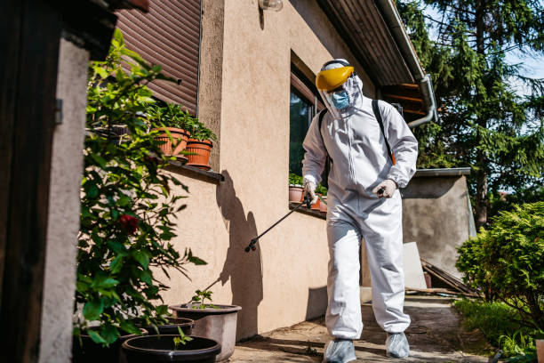 Best Insect Control  in Barron, WI