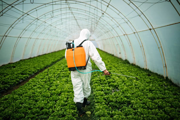 Reliable Barron, WI Pest Control Solutions