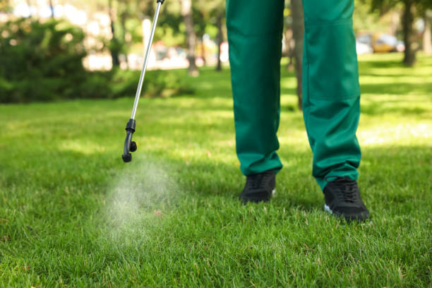Best Residential Pest Control  in Barron, WI