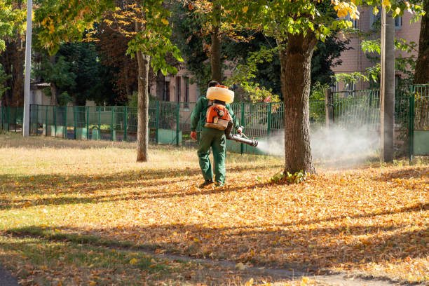 Best Exterminator Services  in Barron, WI