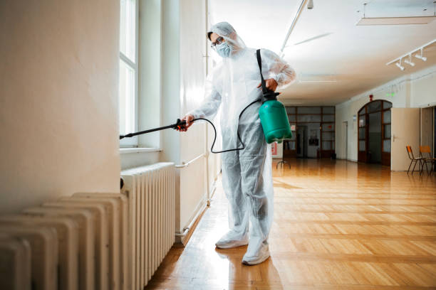 Best Rat Extermination Near Me  in Barron, WI