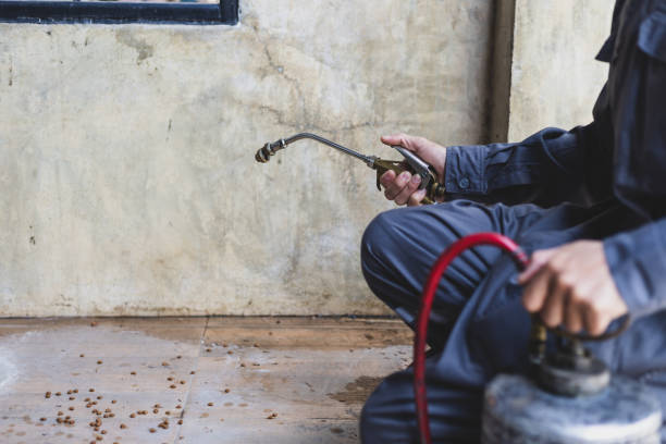 Best Local Pest Control Services  in Barron, WI
